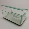Spectral Glass Box With Bevel Edge